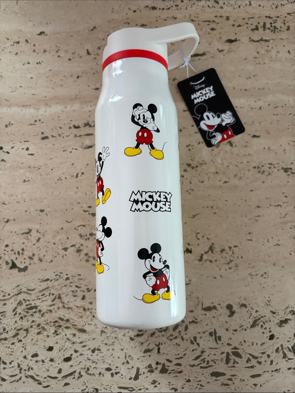 Zak! 20 oz Disney Mickey Mouse stainless steel water bottle